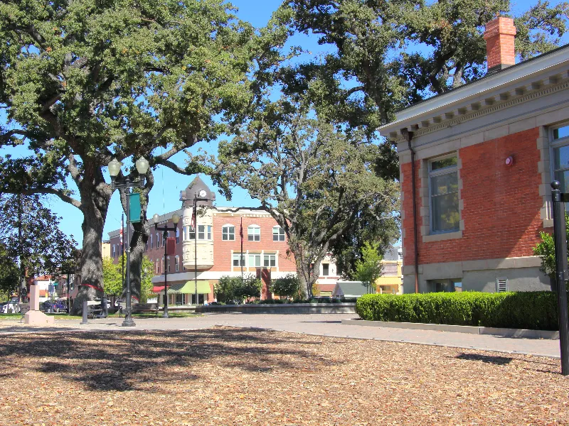 Park area with large trees and a red brick building on the right under a clear blue sky.