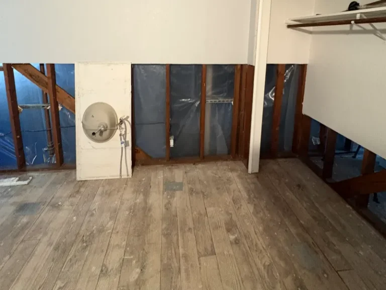 Room with exposed wall studs, a wall-mounted sink, and wood plank flooring.