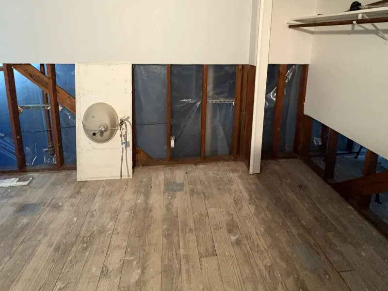 Room with exposed wall studs, a wall-mounted sink, and wood plank flooring.