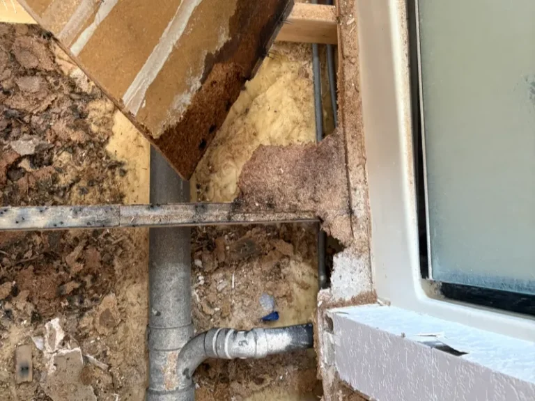 Exposed plumbing and damaged wall insulation near a window frame.