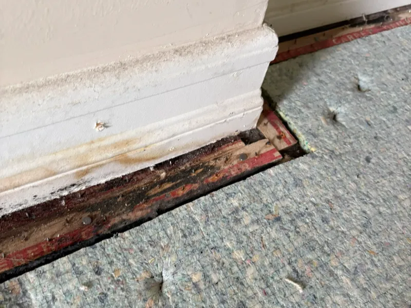 Baseboard with water damage and stained carpet padding along the wall edge.